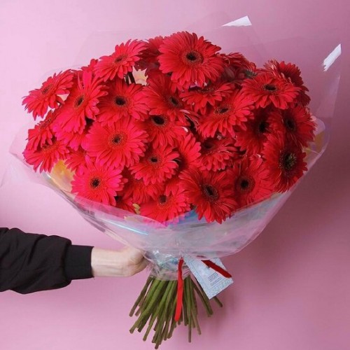 Kırmızı Gerbera Buketi